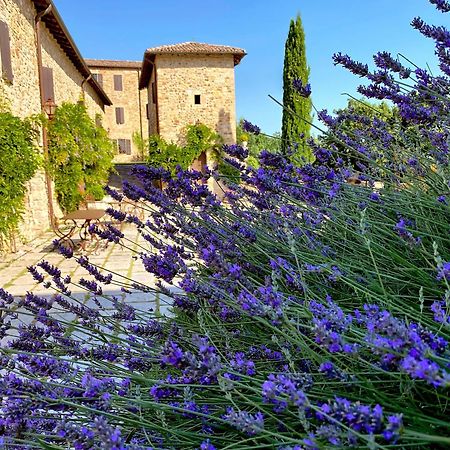 Castello Di Viano Villa Eksteriør billede