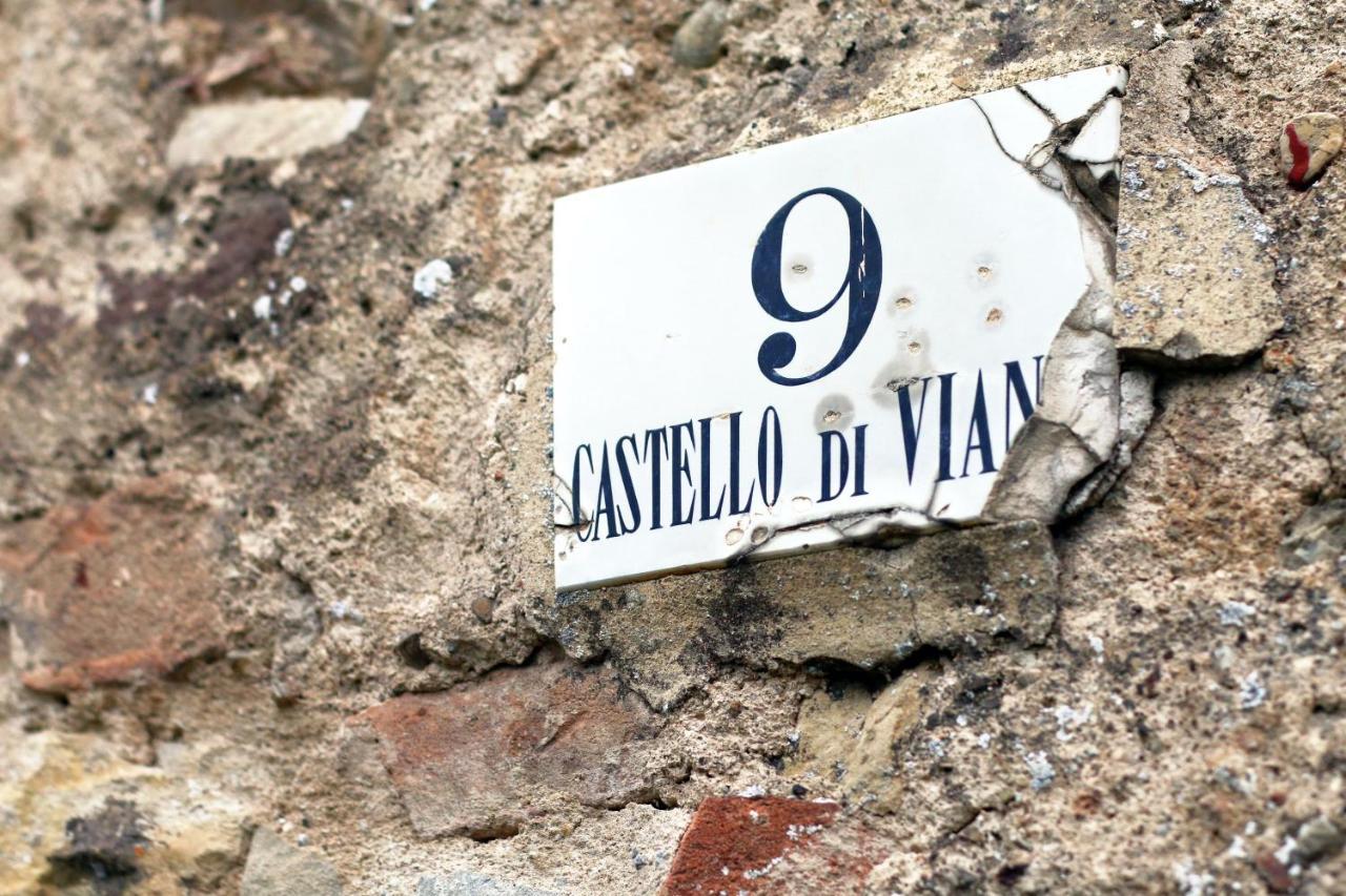 Castello Di Viano Villa Eksteriør billede