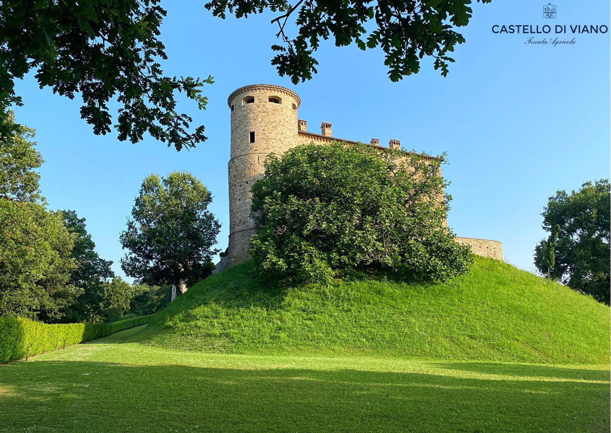 Castello Di Viano Villa Eksteriør billede