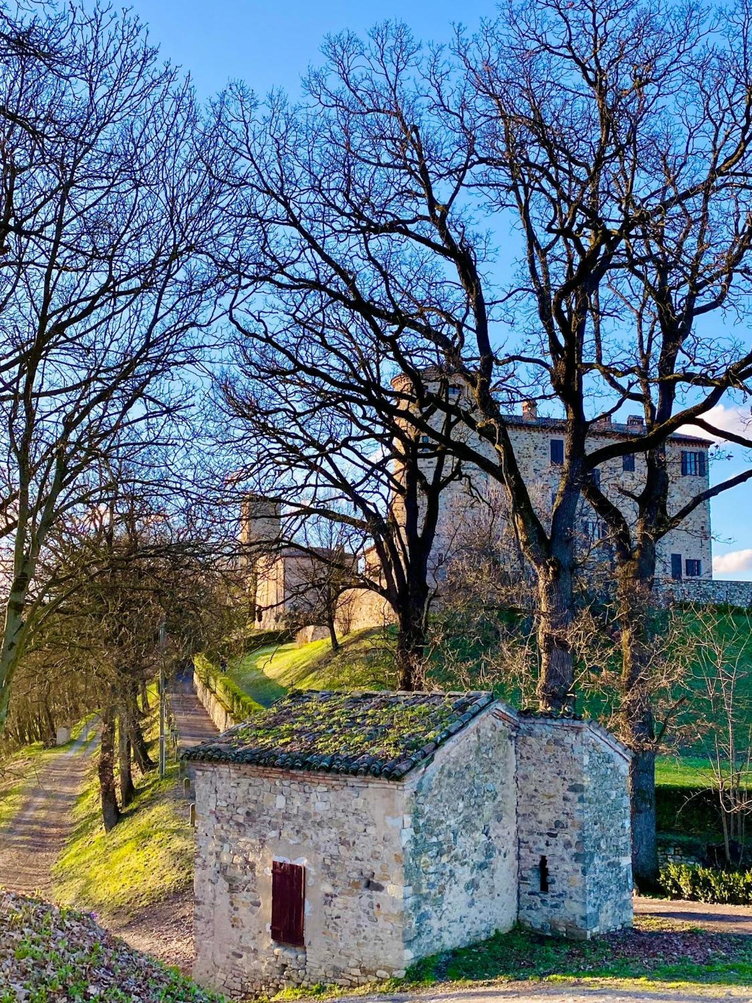 Castello Di Viano Villa Eksteriør billede
