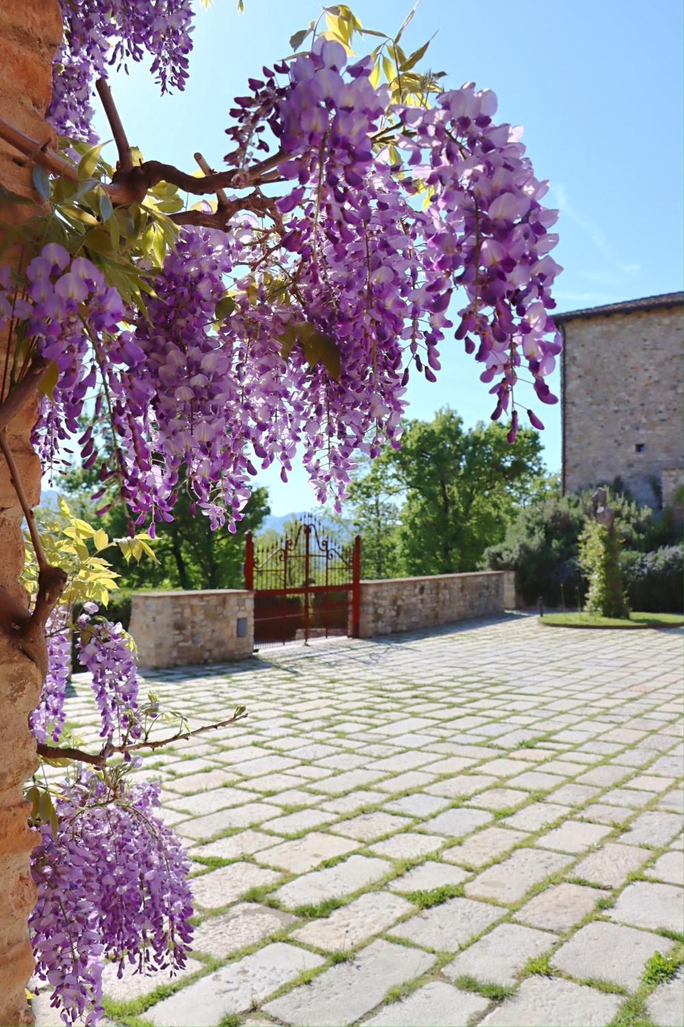 Castello Di Viano Villa Eksteriør billede