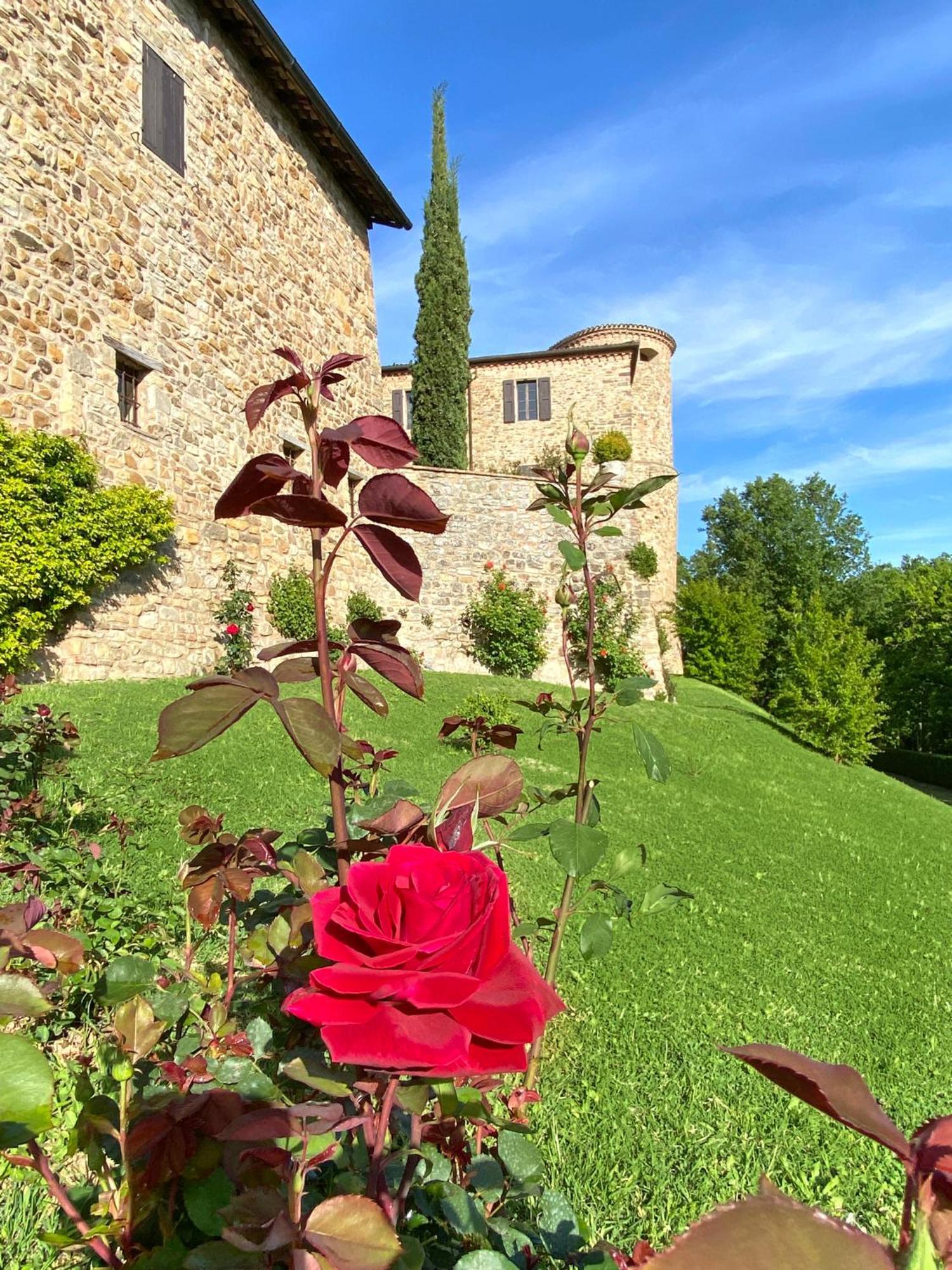 Castello Di Viano Villa Eksteriør billede