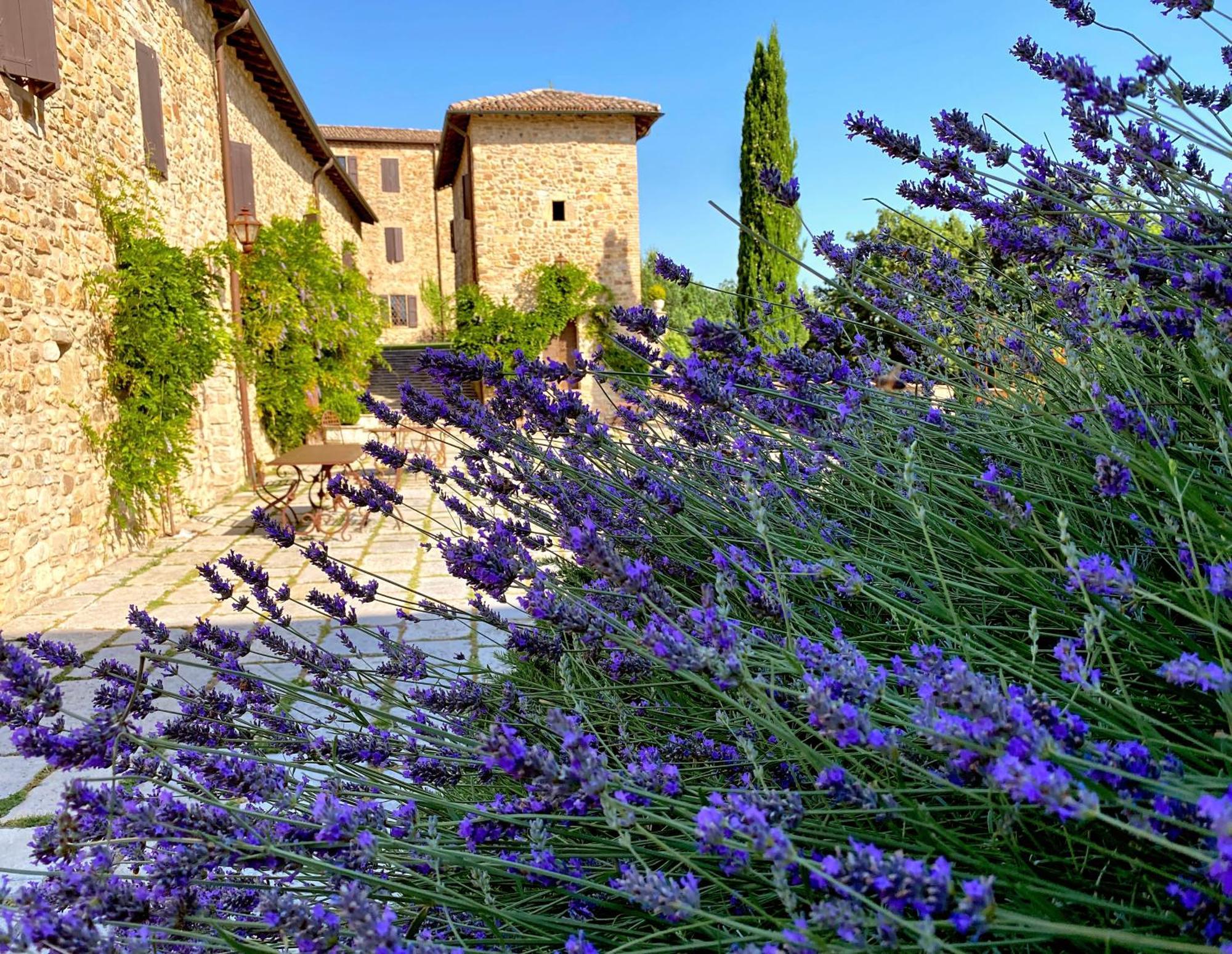 Castello Di Viano Villa Eksteriør billede